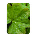 Recherche de islande magnets Vert