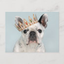 Recherche de bouledogues français cartes postales Frenchie