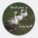 Recherche de truc autocollants Amusant