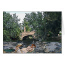 Recherche de canards de parc Pont