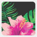 Recherche de feuille tropical autocollants Hawaii