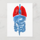 Zoek naar interne organen posters Ademhalingsstelsel