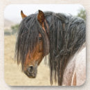 Recherche de crinière photographie Chevaux