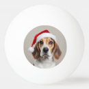 Recherche de tête balles ping pong Mignon