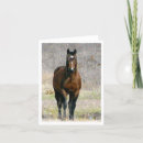 Zoek naar paarden notitiekaarten Equine
