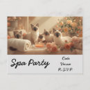 Recherche de spa cartes postales Chat