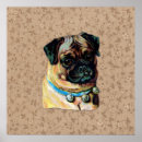 Recherche de pug dog Pet