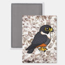 Recherche de battement magnets Dessin