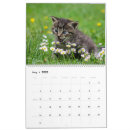 Recherche de vétérinaire calendriers Chaton