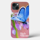 Recherche de photos de papillon coques Jardin d'agrément