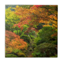Recherche de jardin japonais carreaux Automne
