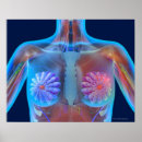 Zoek naar computerkunst posters Horizontaal