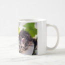 Recherche de chat lapin tasses Chaton