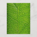 Recherche de earth day cartes postales Pour tous