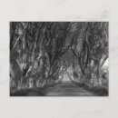 Recherche de haies cartes postales Arbres