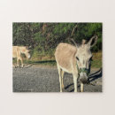 Zoek naar donkey puzzels Pets