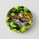 Recherche de froggie badges Amphibiens