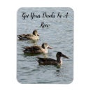 Recherche de le canard magnets Canards