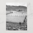 Recherche de guerre vietnam cartes postales Images de guerre civile