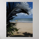 Recherche de plage porto rico posters Océan