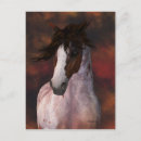 Recherche de équin cartes postales Cheval