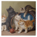 Recherche de chatons carreaux Bleu