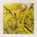 Recherche de macro puzzles Plante