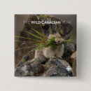 Recherche de télévision badges Canada