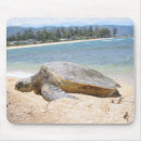 Recherche de tortue hawaïenne tapis souris Tortues