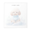 Zoek naar miniatuur poedel Puppy