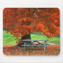 Recherche de wester de sou Automne