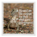 Zoek naar leergierig posters Nieuwsgierig