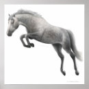 Recherche de pur art Poney