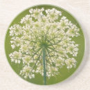 Recherche de reine dessous de verres Vert