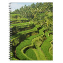 Zoek naar bali notitieboeken Landschap