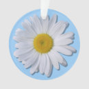 Zoek naar daisy ornamenten Bloei