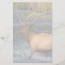 Zoek naar dierenvriend briefpapier Schattig