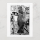 Recherche de poissons drôles cartes postales Vintage