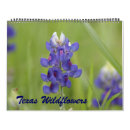 Zoek naar wildflowers kalenders Foto