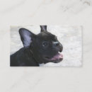 Recherche de bouledogue français cartes visite Chiot