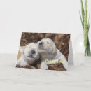 Recherche de puppy vœux cartes Récupérateur doré