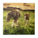 Recherche de jeune animal carreaux Nature
