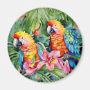 Recherche de perroquets magnets Aquarelle