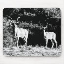 Recherche de antilopes tapis souris Animal