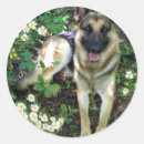 Recherche de de berger allemand autocollants Animaux
