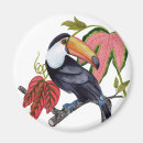 Recherche de oiseaux exotiques magnets Toucan