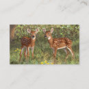 Recherche de jumeaux cartes visite Nature
