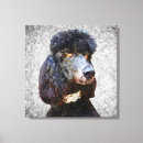 Recherche de caniche noir posters Tendance