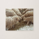 Recherche de agneau puzzles Doux