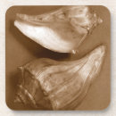 Recherche de sensuel Nature